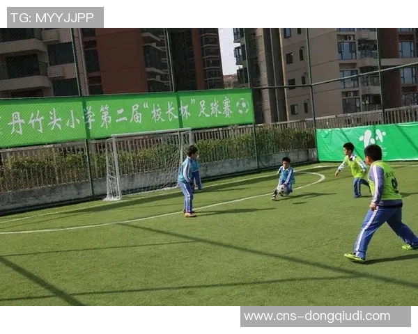 如何撰写精彩的足球征文让你的观点与热情在文字中闪耀